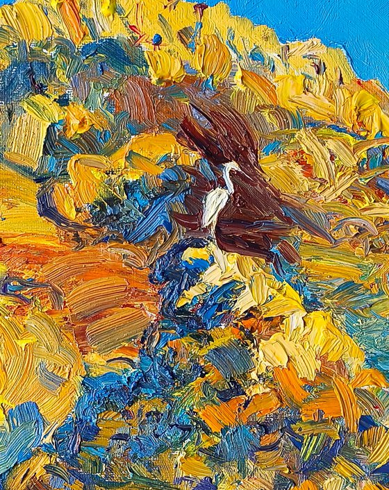Heron on Coastal Rocks