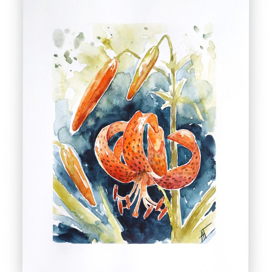 Watercolor lily illustration. Orange tiger lily and green leaves