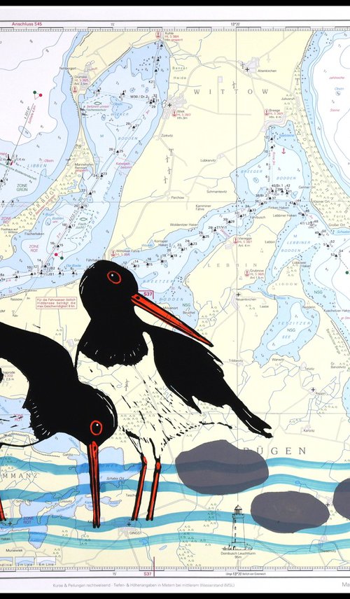 Oystercatchers by Mariann Johansen-Ellis