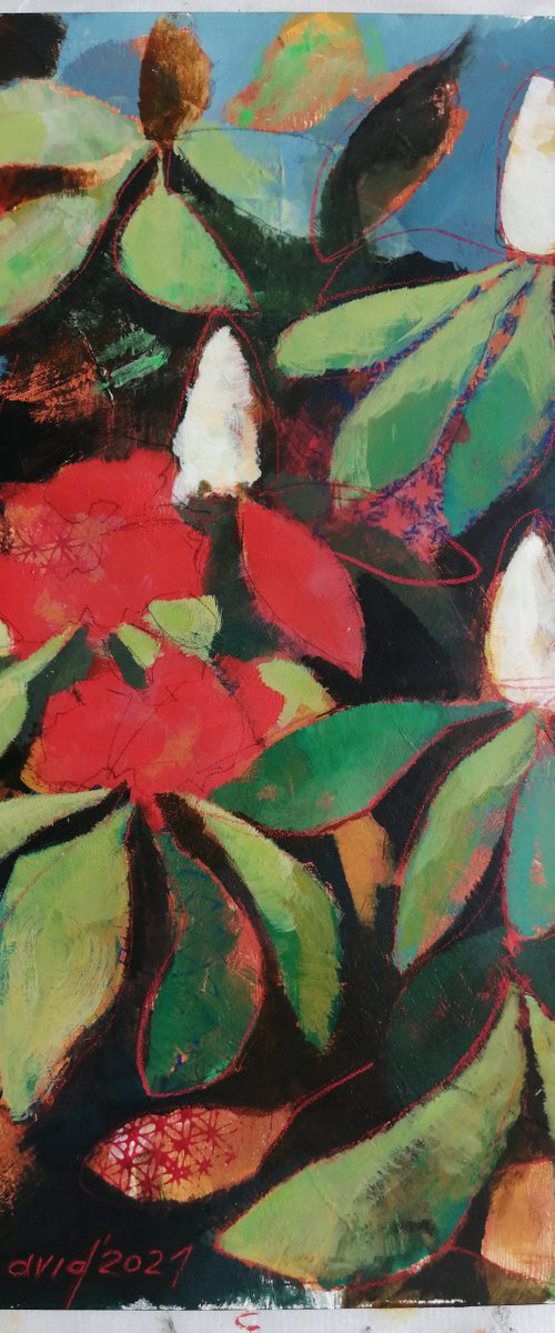 Rhododendron by Olga David