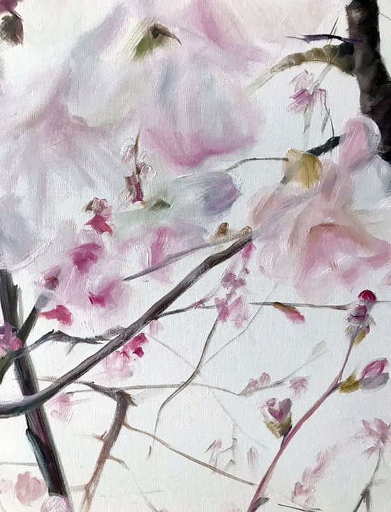 Oil painting with sakura "Spring" 100 * 80 cm