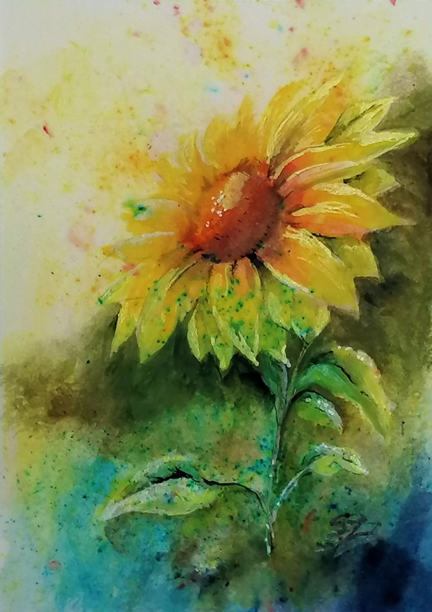 Sunflower in watercolour by Susana Zarate