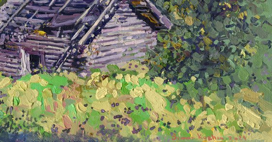 Baths in the Orlovo village