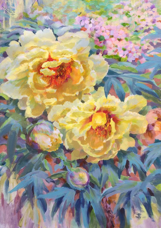 Peony garden 50x70