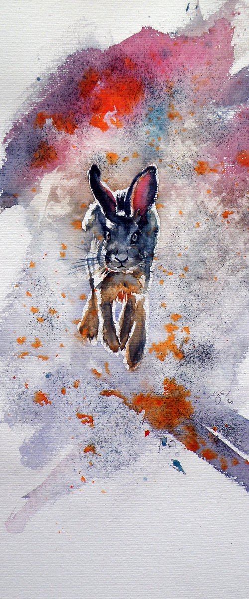 Running rabbit by Kovács Anna Brigitta