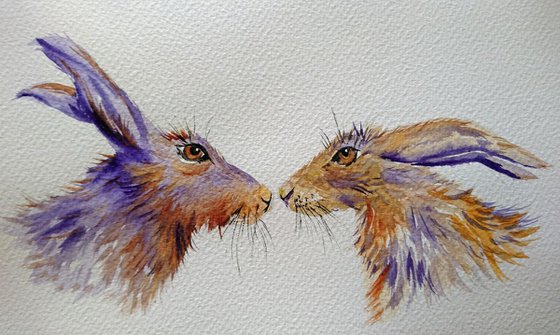 Hares kissing & sniffing