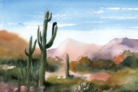 Saguaro Valley