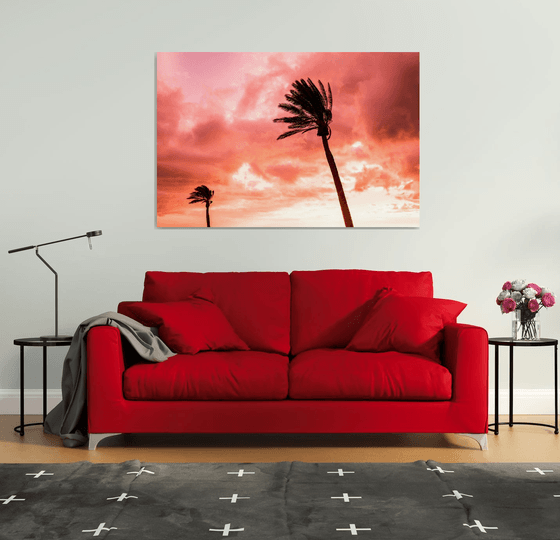 PINK PALMS 3.