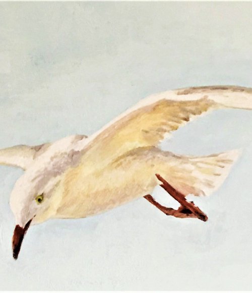 'Gull #1' by Laurence Wheeler