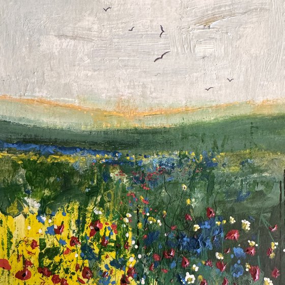 Cornflowers & Fields