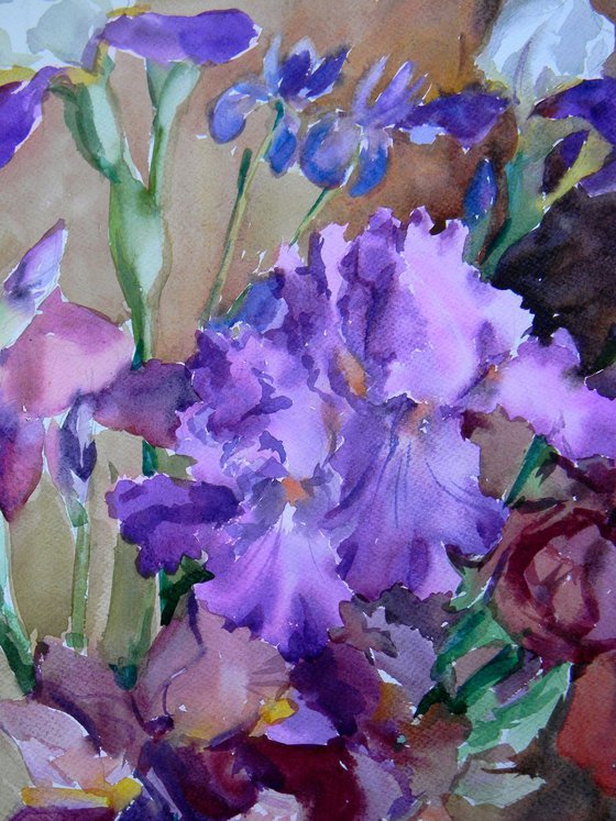 Assorted Iris