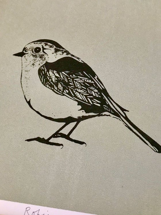 Robin screen print