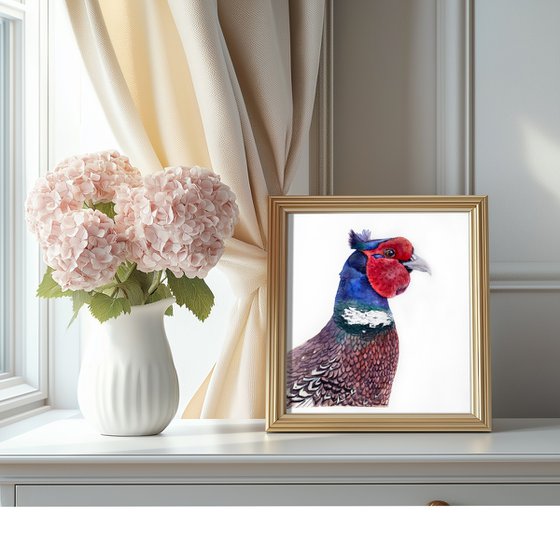Portrait of crested pheasant