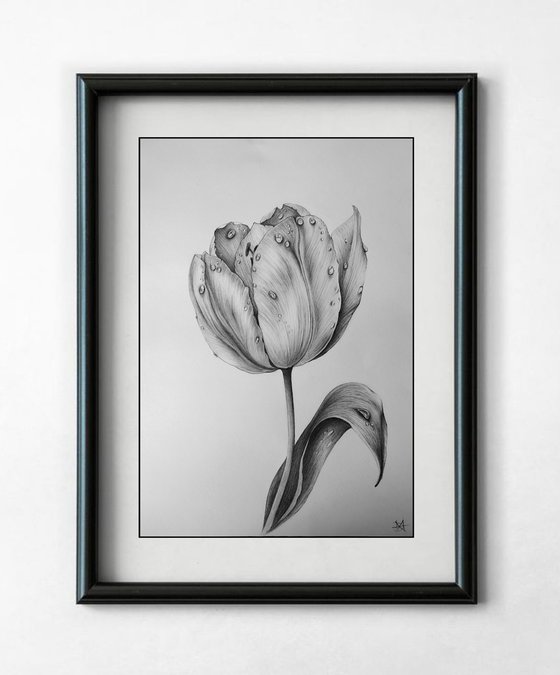 Tulip