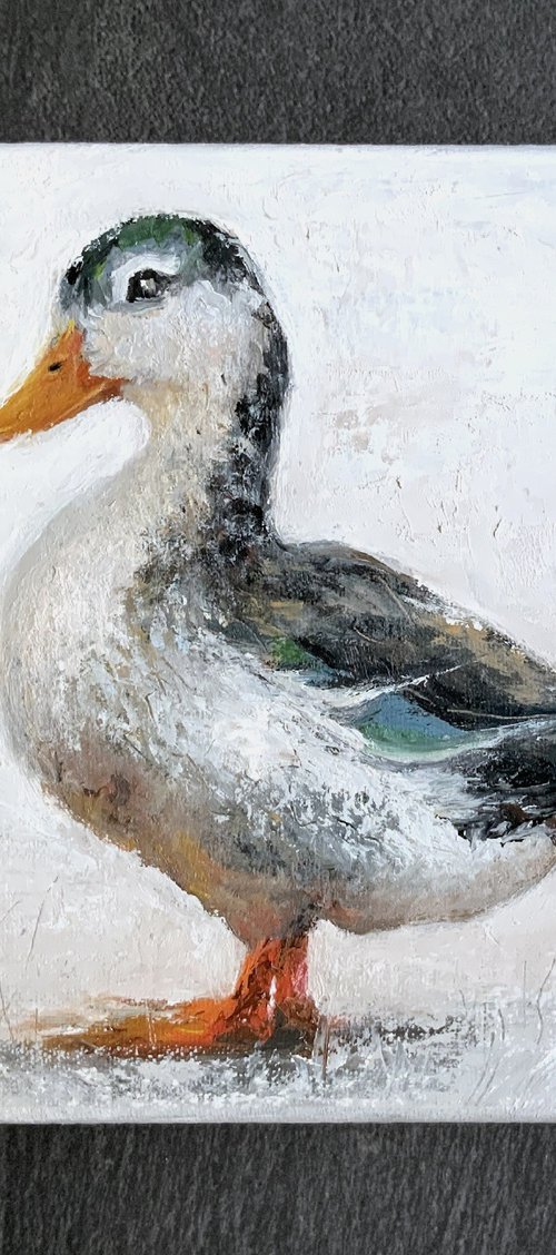 Mallard Duck by Alena Post