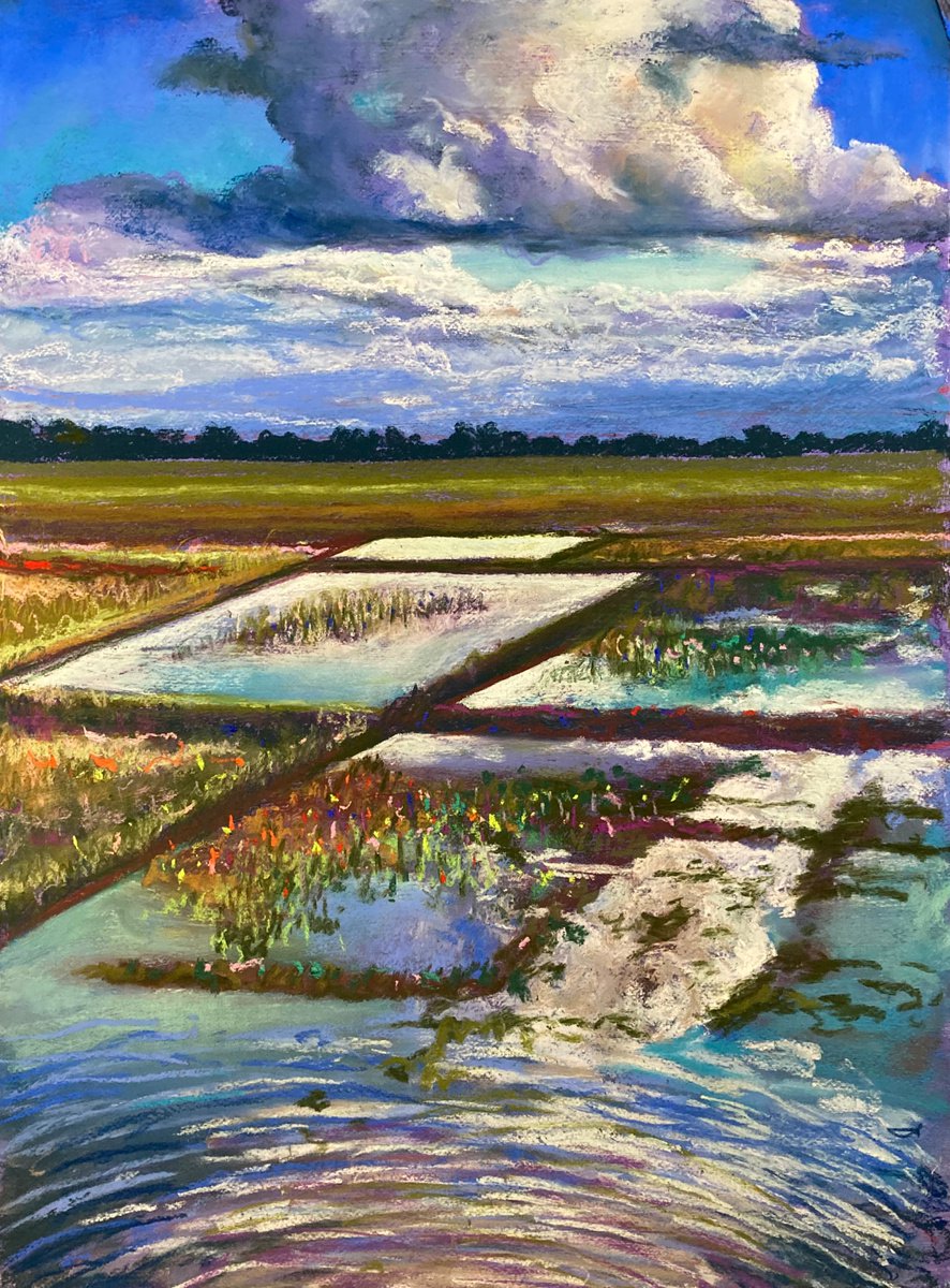 Impressionistic Landscape Pastel Drawing By John Cottee, 22 X 30, Rice With Ripples, Original Artwork