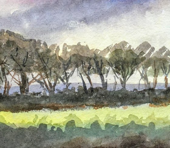 Line of trees near my studio - Watercolour painting