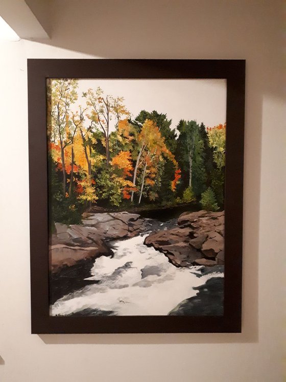Fall Colours