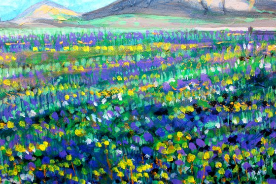 Lanzarote Landscape I