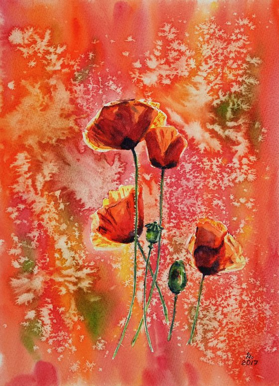 Red Poppies