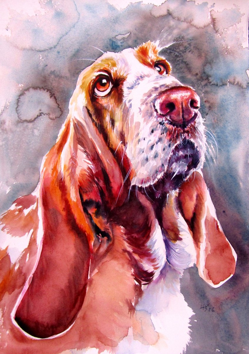 Impressionistic Watercolour , Basset Hound By Kovacs Anna Brigitta, 11 X 15, Artwork For Sale On Artfinder