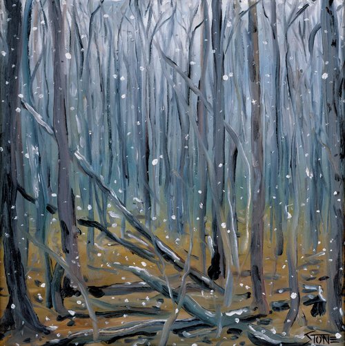 Snow on Trees by Bill Stone
