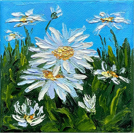 Small daisies