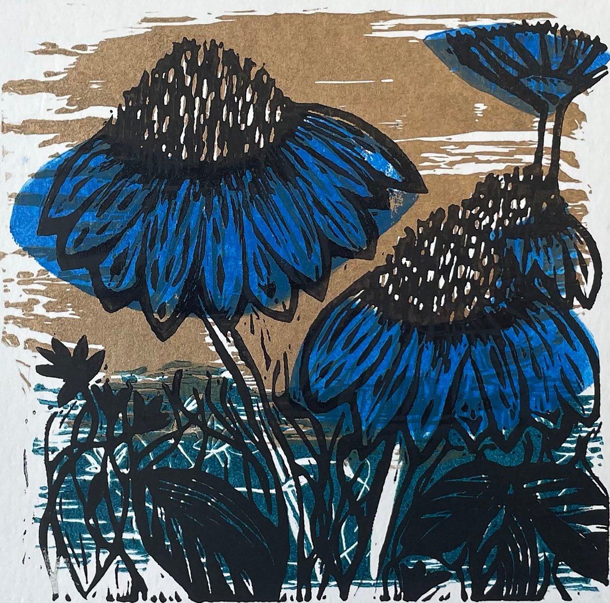 Echinacea Mini Print by C Staunton