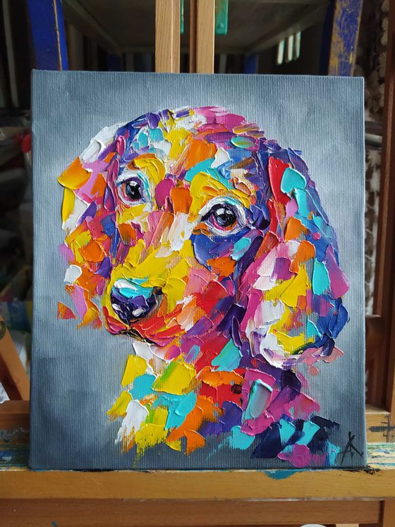 Look of kind eyes - dog, animals, oil painting, dachshund dog, dachshund, oil painting, pet, pet oil painting, gift, animals art