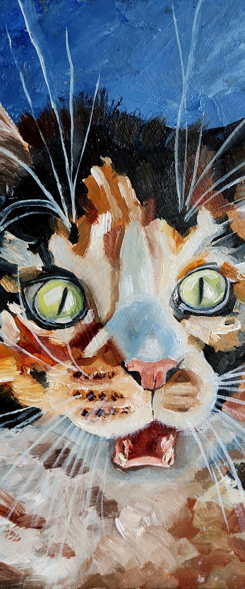 Surprised Cat Oil Painting Funny Cat Artwork Tabby Cat Portrait by Yulia Berseneva