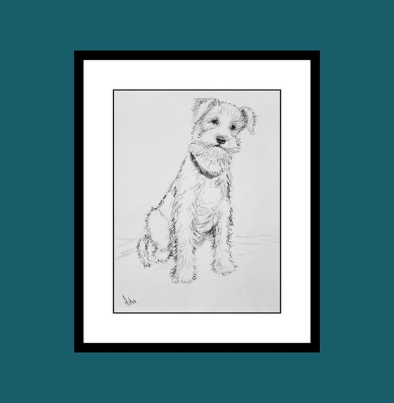 Set of three cute dogs