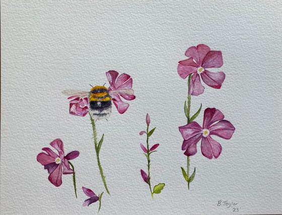 Bumble bee and flowers