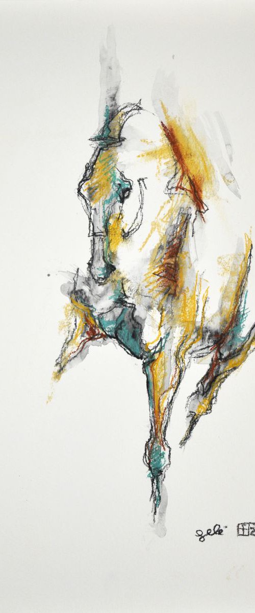 Equine Nude 46t by Benedicte Gele