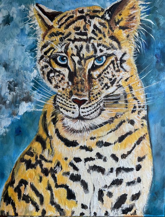 Leopard . Blue  eyes.