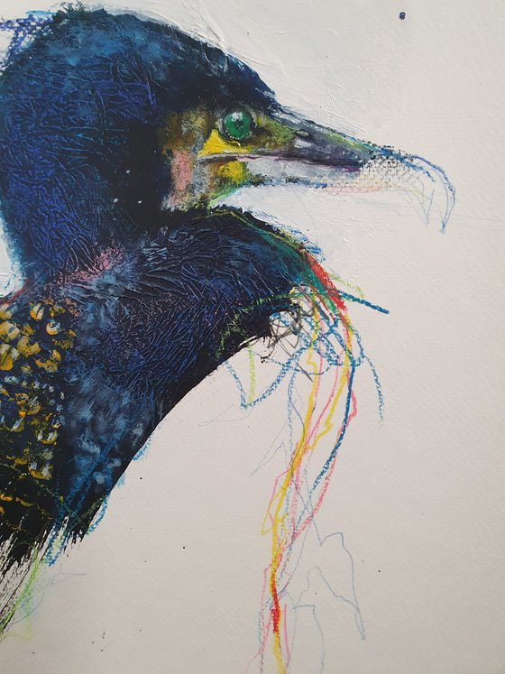 Cormoran
