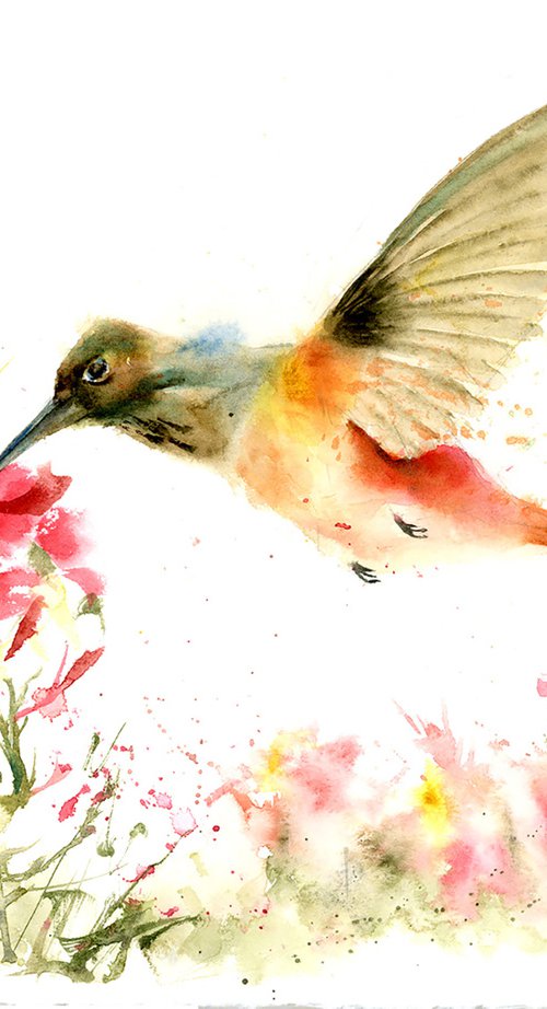 Hummingbird by Olga Tchefranov (Shefranov)