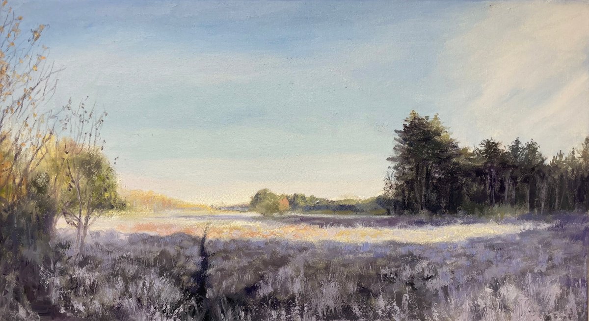 Surrey Heathland in the Frost by Hannah Bruce