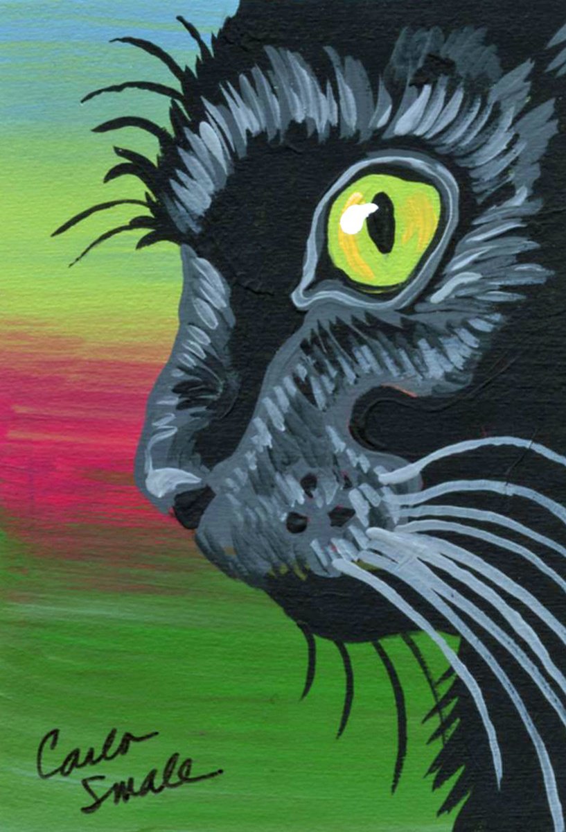 Black Cat by Carla Smale