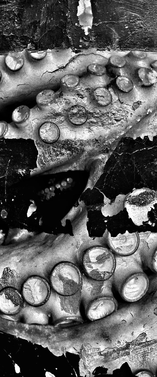 ABC#210 White and Black Renaissance #3 by Mattia Paoli