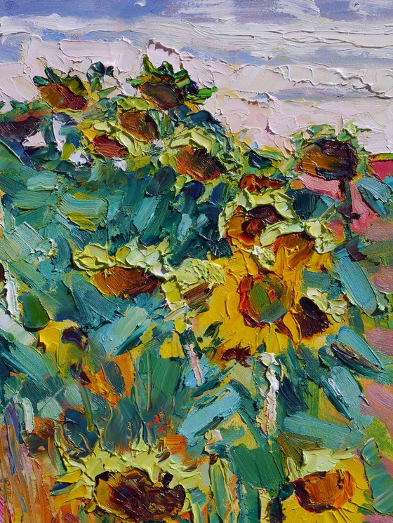 By a sunflowers field