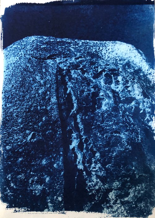 Sourdough I - Cyanotype Print by Georgia Merton