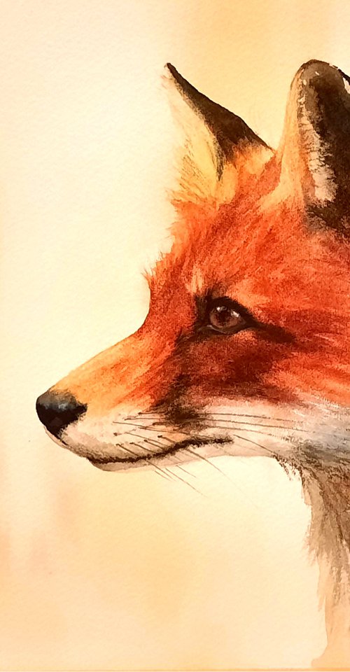 Fox Flame by Alison Fennell