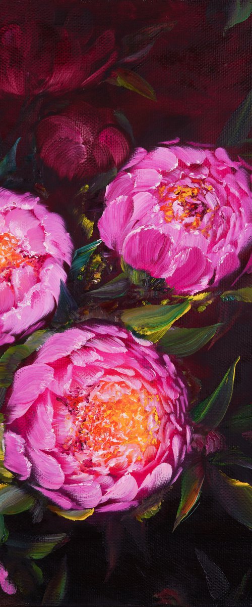 EVENING COOLNESS - Original. Pink flowers. Unusual peonies. Dark background. Floral art. Hand painting. Dust. by Marina Skromova
