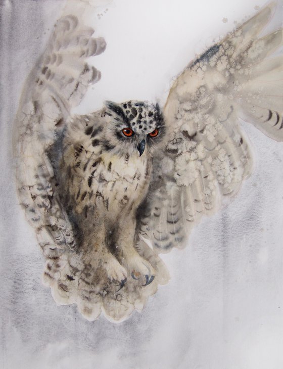 Flying Owl -  Wildlife Art - Owl Painting
