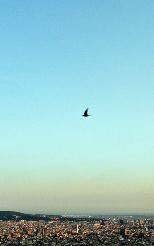 Summer, 2011 by Frankie Malone