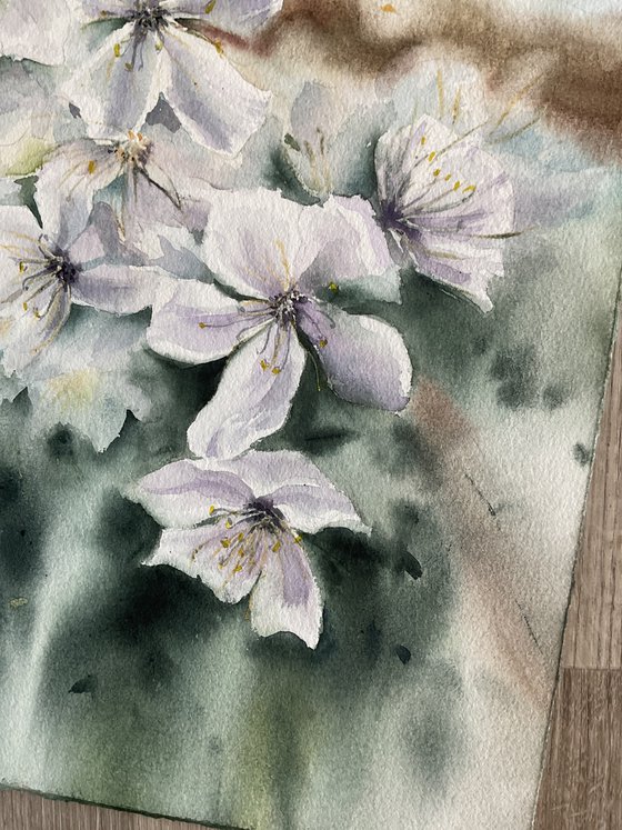 Cloudy spring