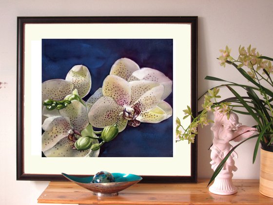 orchids in blue watercolor floral