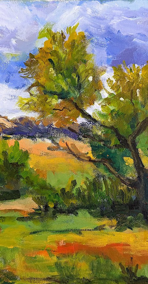 Sunlit Valley by Mutlu Ertac