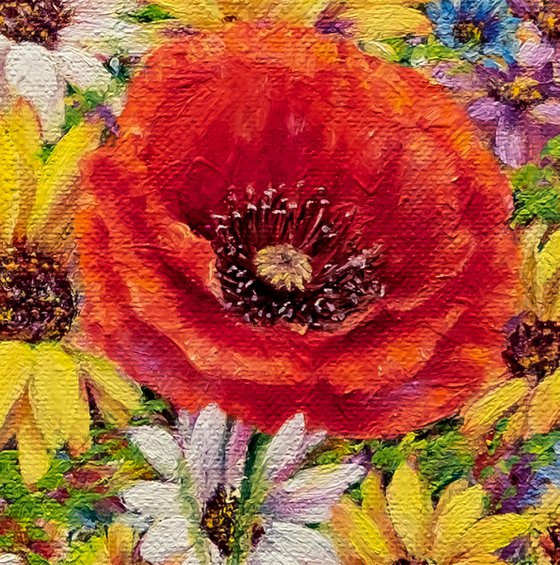 Wild Poppies & Daisies
