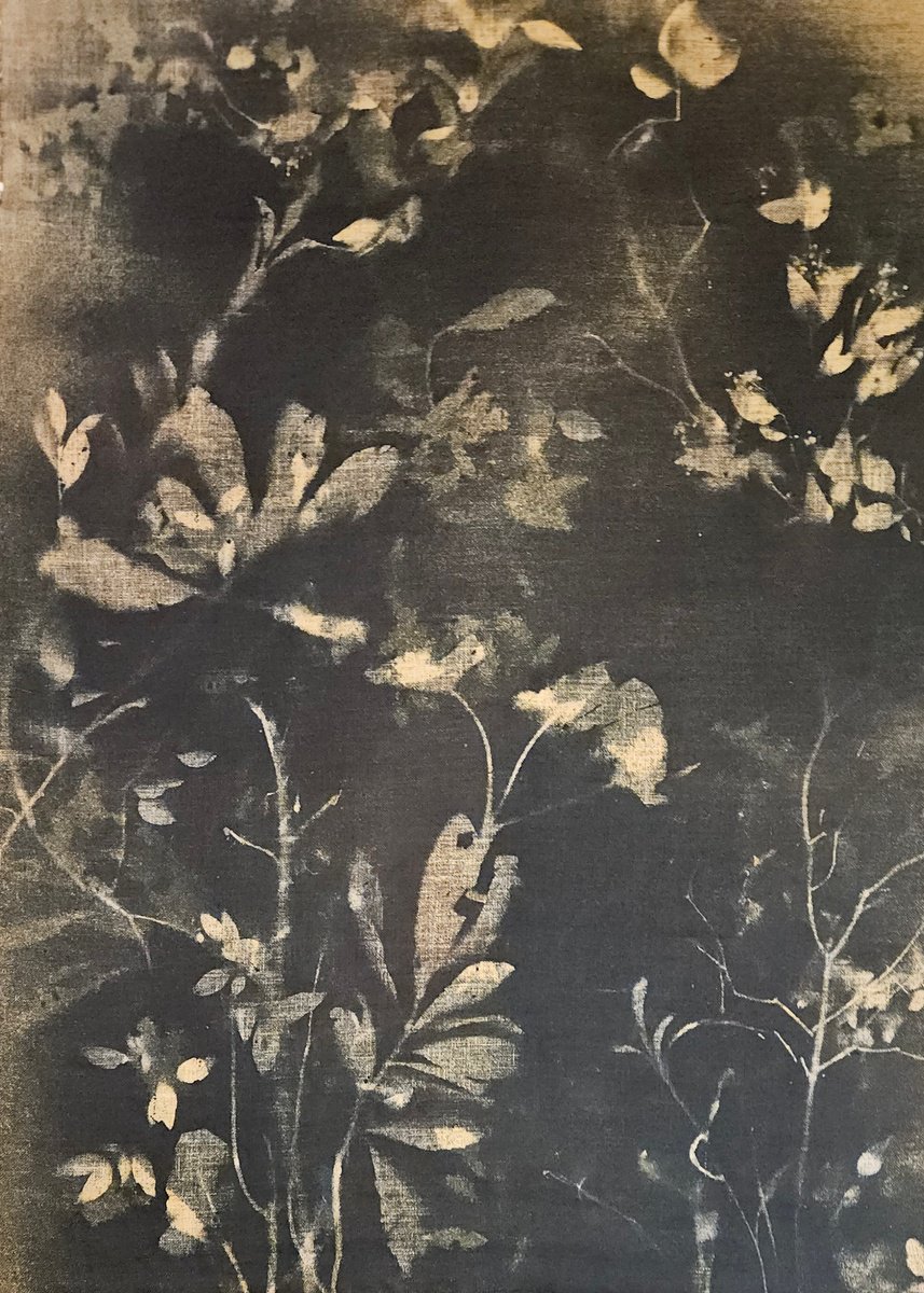 Surrealistic Botanical Acrylic Painting By Stefano Mazzolini, 59 X 79", Rf5758 Double-Sided, Original Artwork